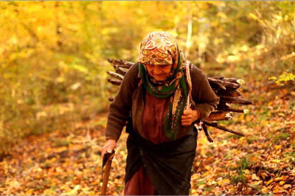 نمایی از مستند «دلبند»